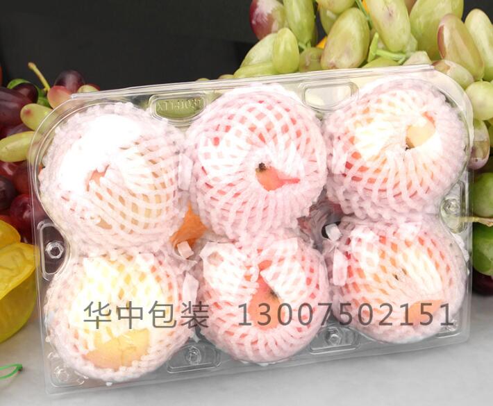 一次性水果包装盒大圆椒包装盒